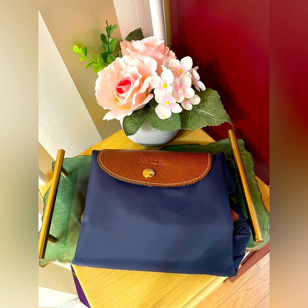 Longchamp Backpack Le Pliage